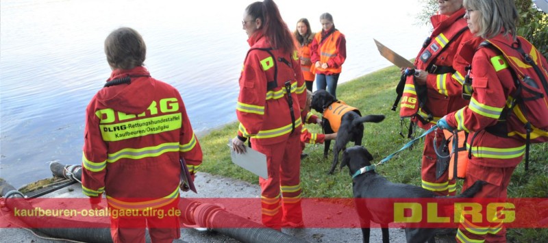 Rettungshunde der DLRG Kaufbeuren/Ostallgäu üben den Ernstfall